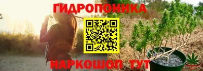 дживик Моздок