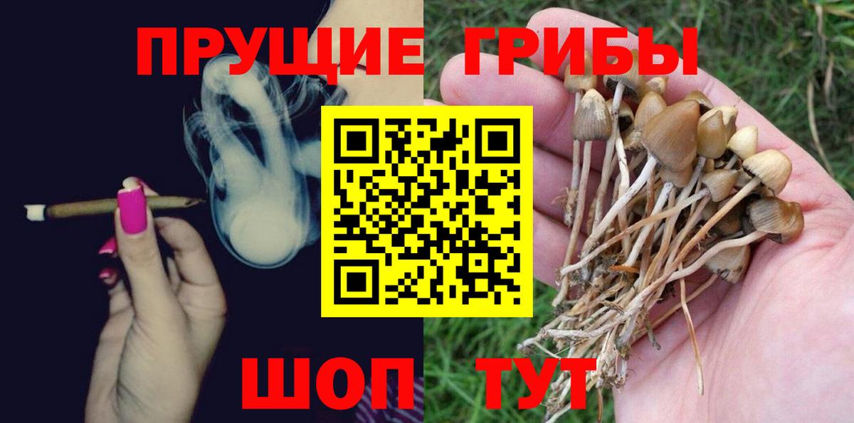 Псилоцибиновые грибы ЛСД  Вход с VPN  Псилоцибиновые грибы мухоморы  Усть-Джегута 